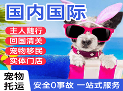 东营胜利机场货运国际宠物托运 【国